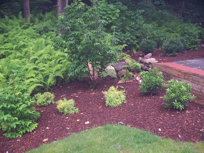 Landscaping project