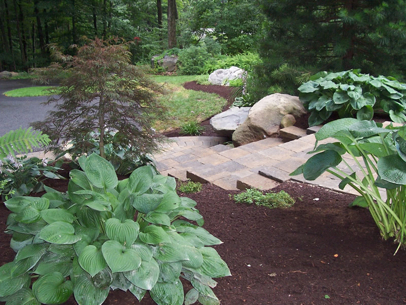 Landscaping project