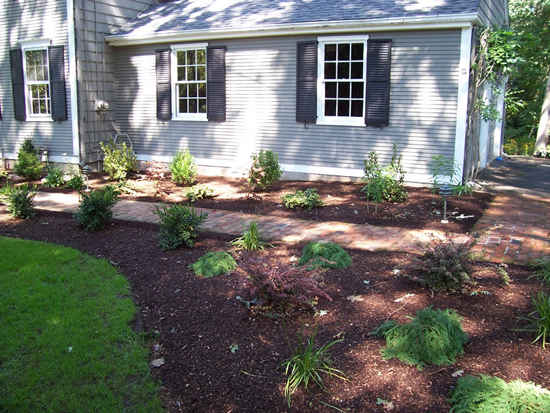 Landscaping project