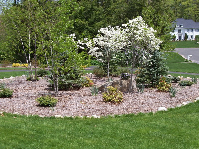 Landscaping project