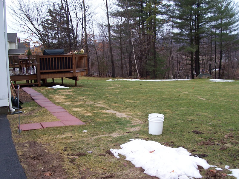 Landscape maintenance project