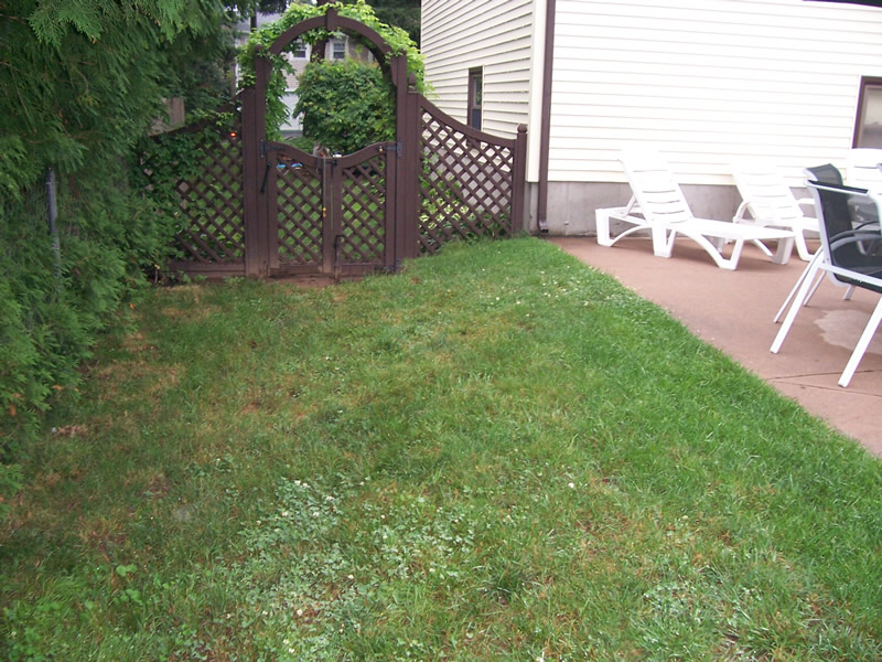 Landscape maintenance project