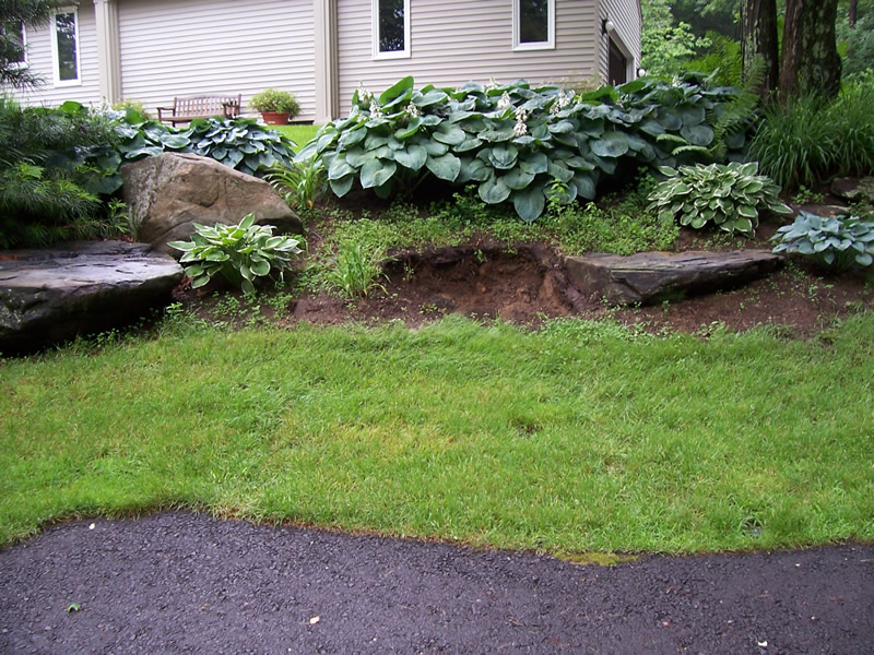 Landscape maintenance project